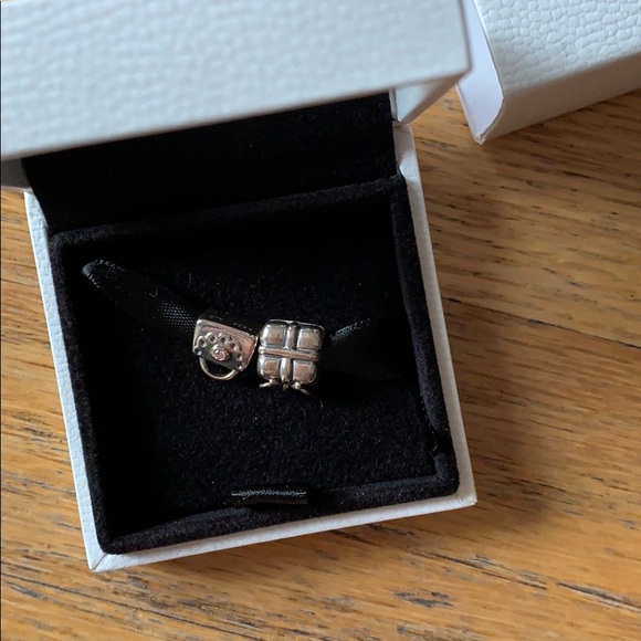 Two Pandora charms in original box NWT - Picture 3 of 4